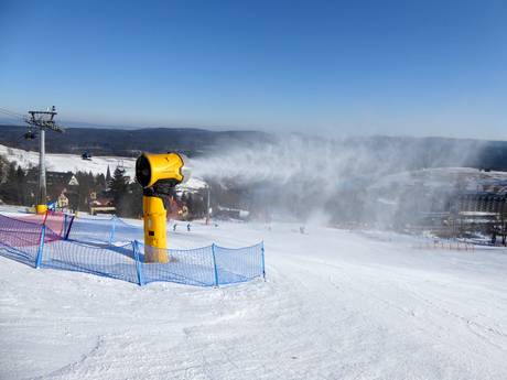 Schneesicherheit Mittelsudeten – Schneesicherheit Zieleniec