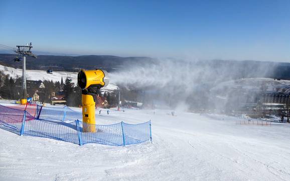 Schneesicherheit Polnische Sudeten – Schneesicherheit Zieleniec