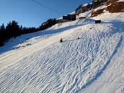 Tiefschneemöglichkeiten im oberen Bereich des Skigebiets