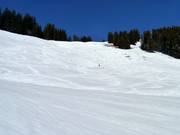 Schwere Weiherkopf FIS-Herrenabfahrt