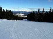 Breite Piste Coston Nr. 28