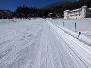 Eggerfeld - Seillift/Babylift mit niederer Seilführung