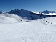 Piste Ours