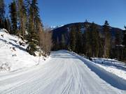 Talabfahrt Nr. 1 nach Sillian