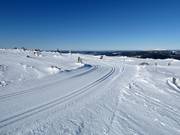 Loipe Toppspåret am Gipfel