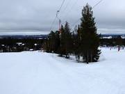 L23 Kajan - Tellerlift