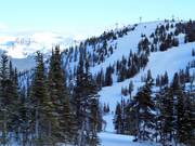 Blick auf die Pisten am Eagle Ridge Chair
