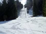 Gelbhansekopflift - Schlepplift mit T-Bügel/Anker