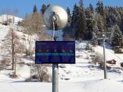 Information zum Wetter in Brigels