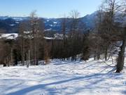 Spuren im Tiefschnee am Götschenkopf