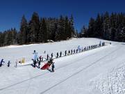 Skiförderband Mittelstation Koglmoos - Förderband/Zauberteppich