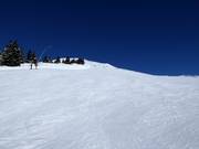 Abfahrt Wildkogelbahn Berg-Mitte