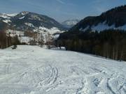 Blick ins Heutal von den Pisten