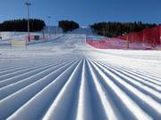 Perfekt präparierte Piste im Skigebiet Lagorai