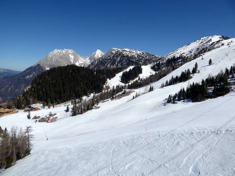 Slowenische Alpen: Testberichte von Skigebieten – Testbericht Krvavec