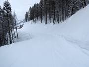 Leichte Piste Way Home