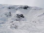  Rückseite der Douce