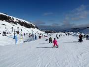 Übungsgelände Alpine Meadow