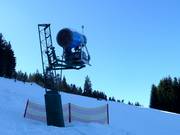 Schneekanone am Hausberg