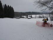 Piste mit Schneekanone