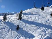 Tiefschneerevier am Langenstein