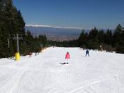 Sehr leichte Piste Ski road №1a am Tellerlift Vlek Chalin