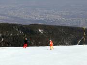 Piste Laleto lesna 3