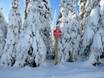 Columbia Mountains: Umweltfreundlichkeit der Skigebiete – Umweltfreundlichkeit Sun Peaks