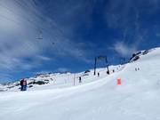 Gletscher Skilift Titlis - Schlepplift mit T-Bügel/Anker