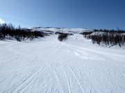 Leichte Piste im unteren Bereich des Kåppasliften