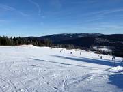 Leichte Pisten an den Thurnhofliften