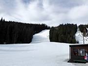 Piste an der Doppelsesselbahn