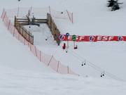 TK Lady - Seillift/Babylift mit niederer Seilführung