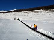 Zauberteppich in Sent