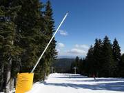Umfassende Beschneiung in Borovets