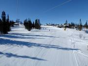 Leichte Piste Vesleseterbakken