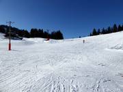 Leichte Piste Grafenherbergschuss