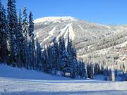 Blick vom Mt. Morrisey zum Top of the World