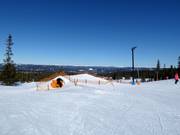Tipp für die Kleinen  - Fun Ride Trysil