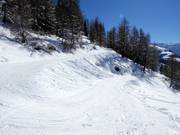 Leichte Fäuderpiste