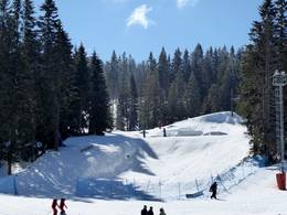 Kopaonik