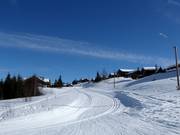 Loipen in Hafjell