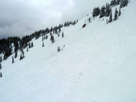 Skigebiete für Könner und Freeriding Columbia-Shuswap – Könner, Freerider Revelstoke Mountain Resort