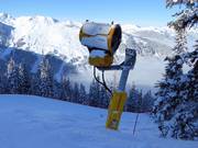 Schneekanone an der Tannwald-Abfahrt