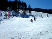 Tipp für die Kleinen  - Kinderland Skischule Project in Sauze d'Oulx