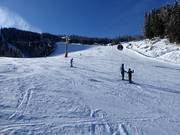 Holzerabfahrt zum Preunegg-Jet auf der Reiteralm