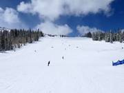 Piste an der Sesselbahn Apex Express