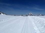 Loipe auf dem Stoos mit Mythenblick