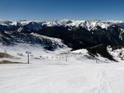 Larkspur in der Montezuma Bowl