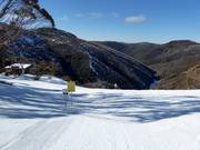 Schwere Piste Black Snake